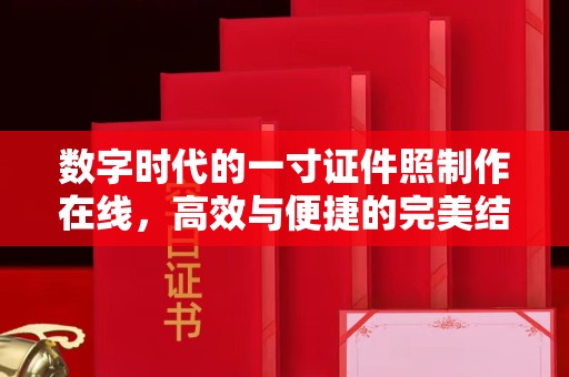宁波数字时代的一寸证件照制作在线，高效与便捷的完美结合